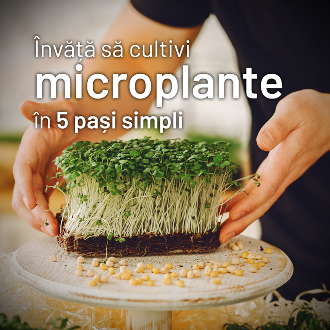 Învață să cultivi microplante în 5 pași simpli