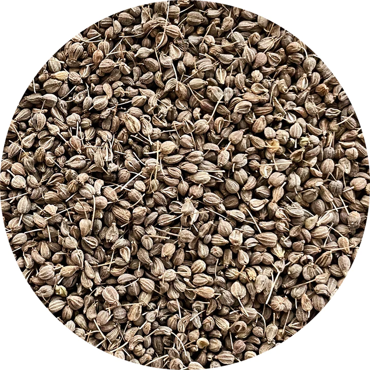 Semințe de anason - pentru microplante [2]