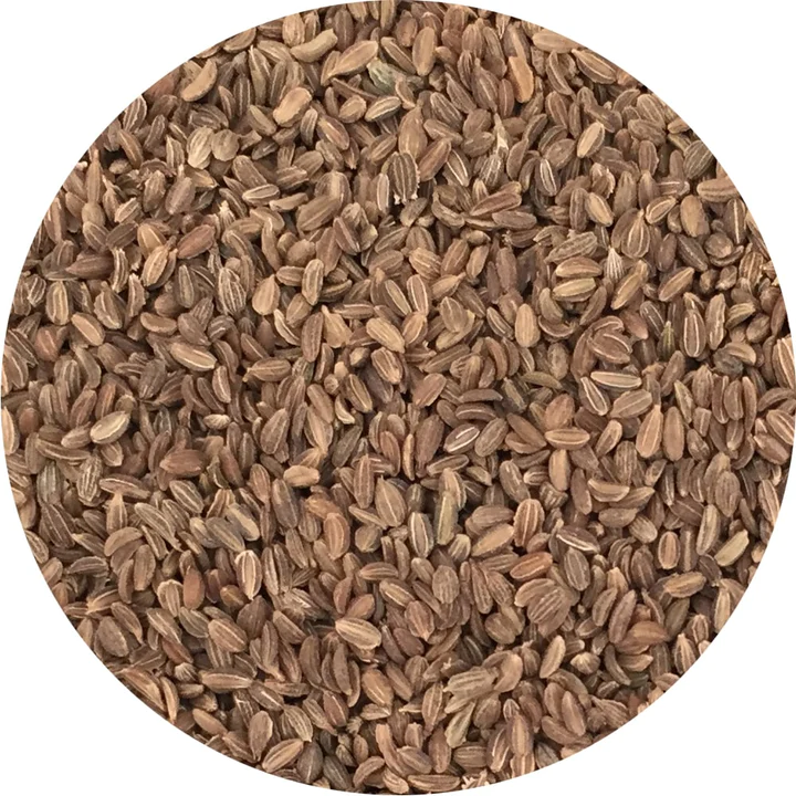 Semințe de morcov - pentru microplante [3]