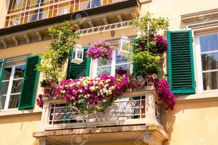SEMINTE - Semințe de flori pentru balcon