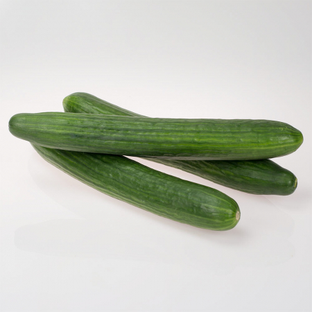 SEMINTE - Semințe de castravete "Telegraph Improved"