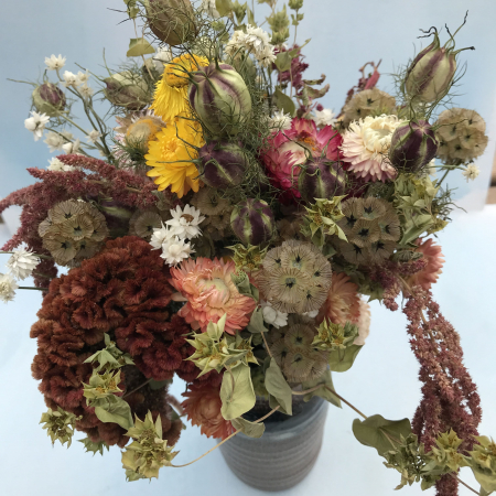 Semințe de flori pentru buchete uscate (imortele) [1]