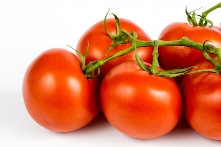 TOMATE - Semințe de tomate determinate "Ace 55 Vf"
