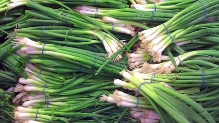 SEMINTE - Semințe de ceapă "White Lisbon"