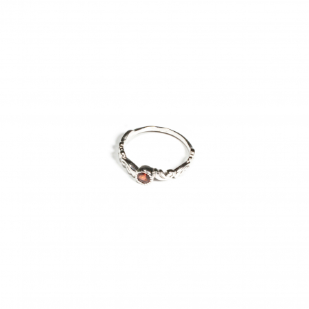 Noutati - 