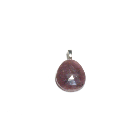 Noutati - 
