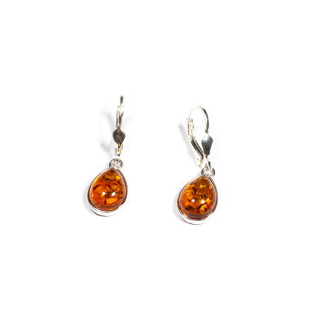 Noutati - 