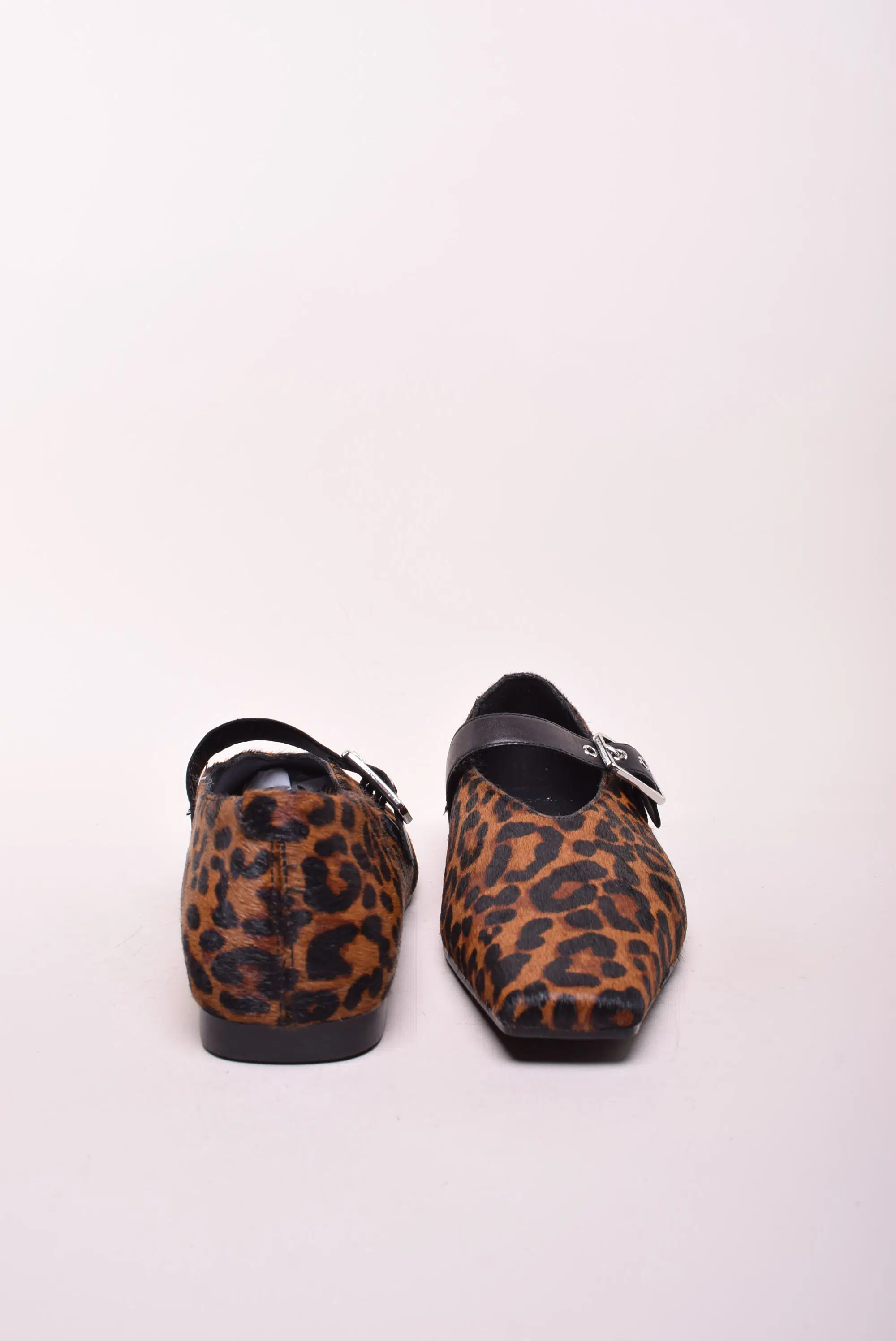 Balerini dama Wioletta [3]