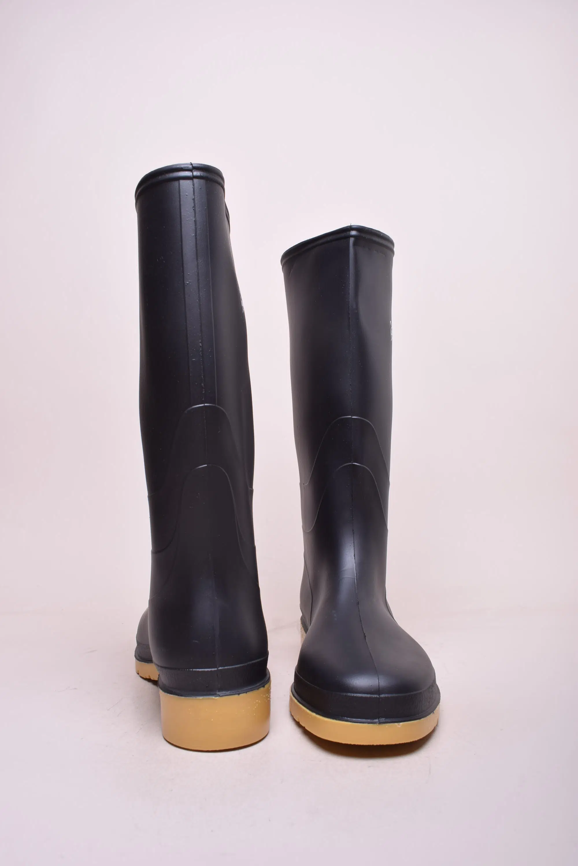 Cizme cauciuc dama  [3]