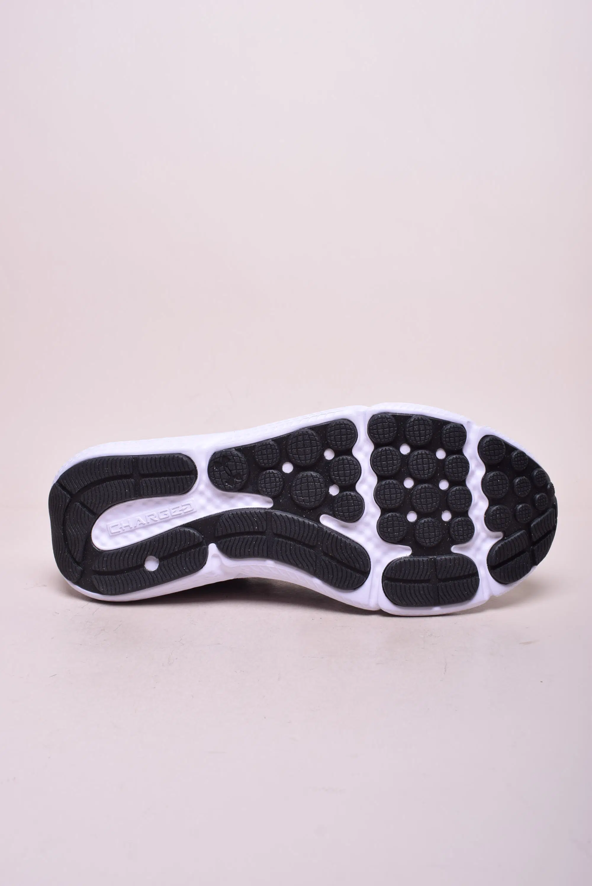 Pantofi sport barbati Charged Assert 10 [2]