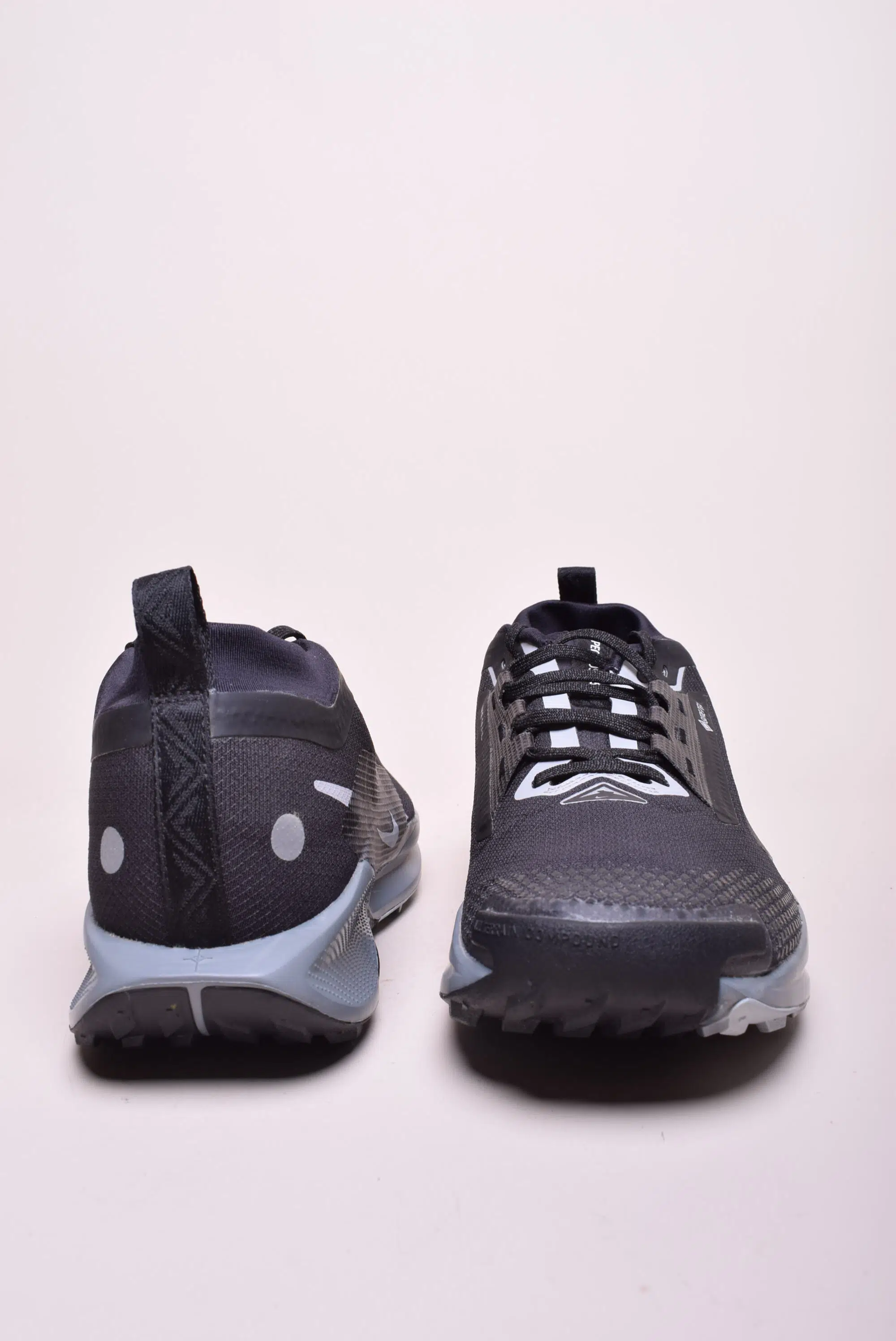 Pantofi sport barbati Pegasus Trail 5 Gtx [3]