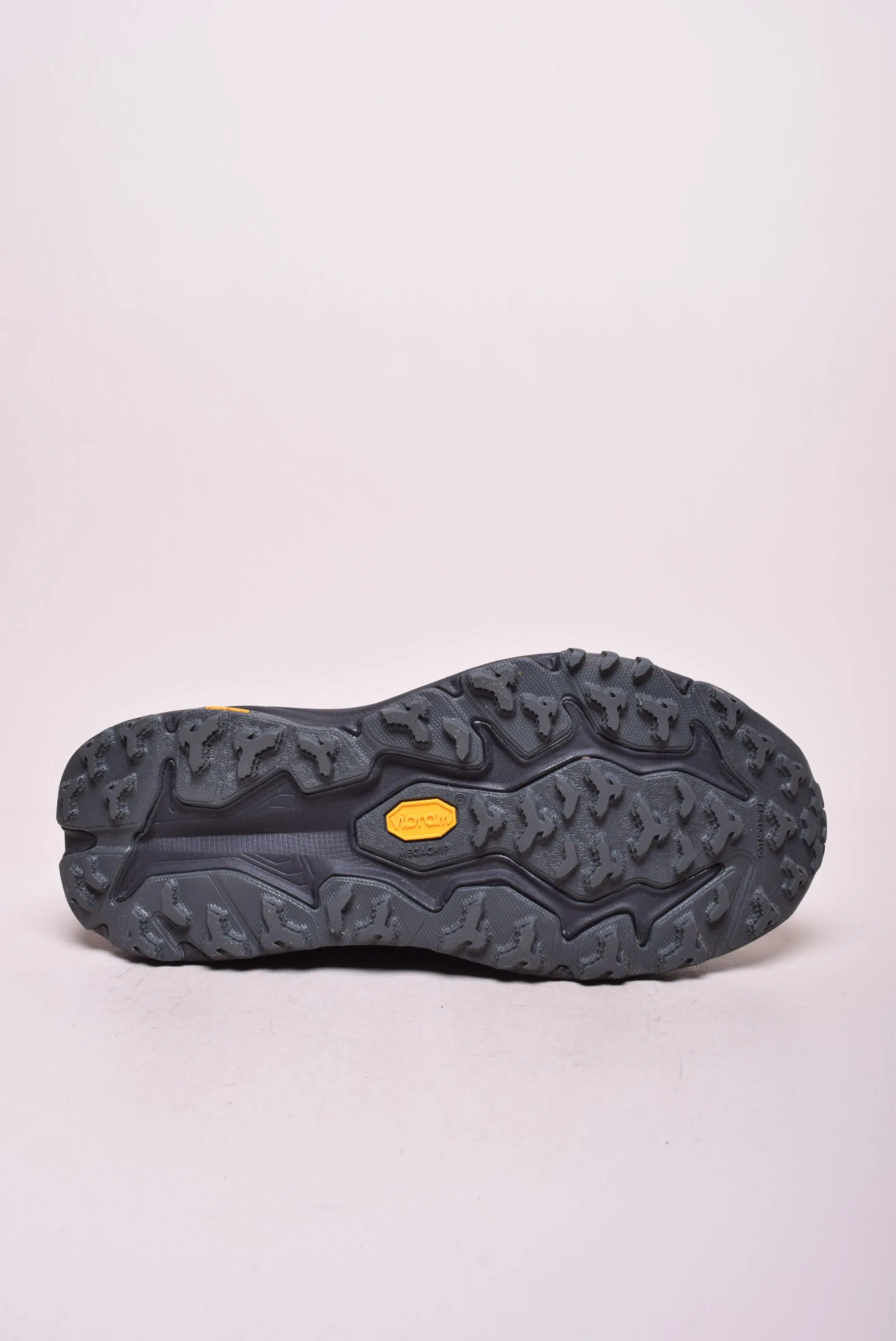 Pantofi sport barbati Speedgoat 6 Gtx [2]