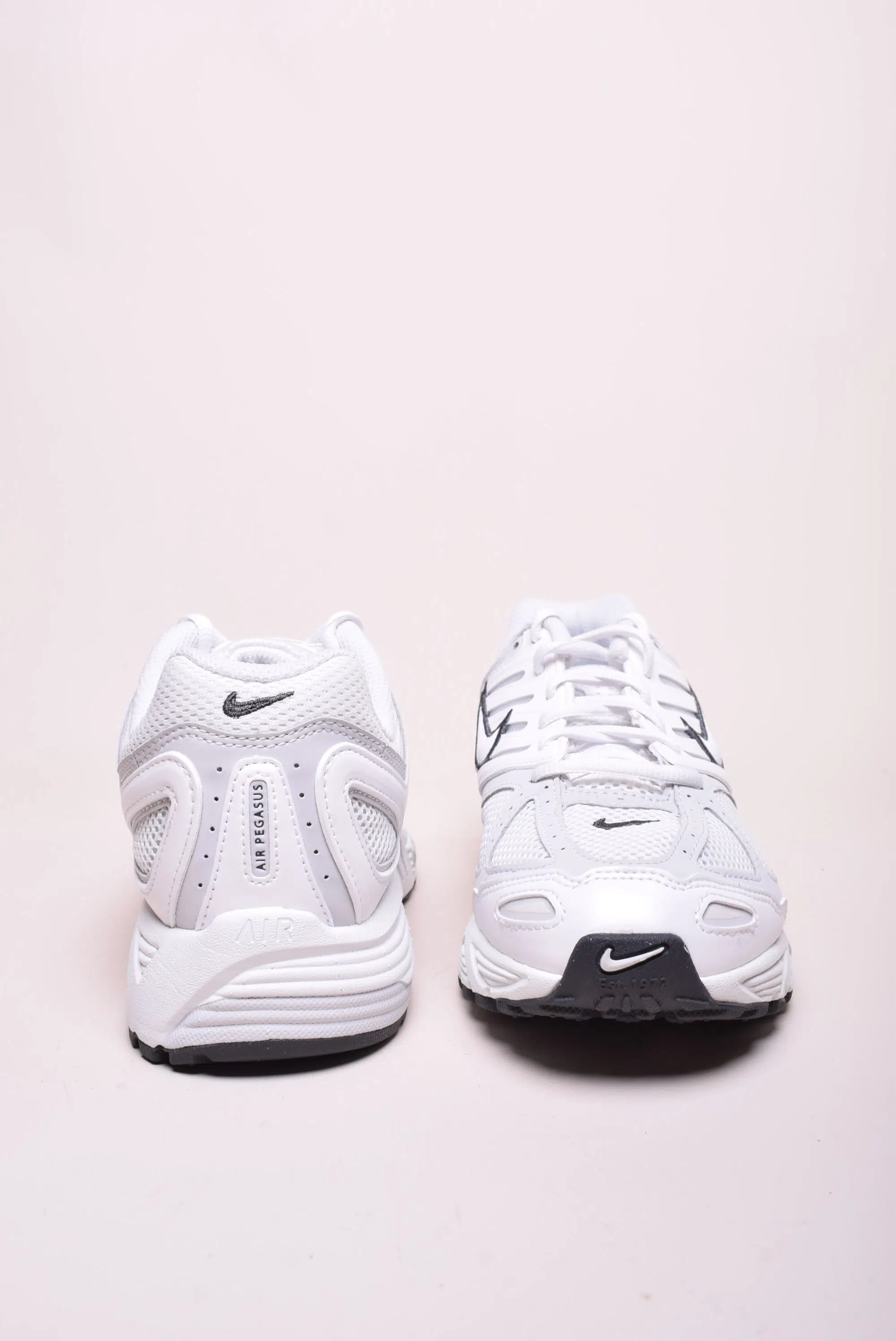 Pantofi sport dama Air Pegasus 2005 [3]