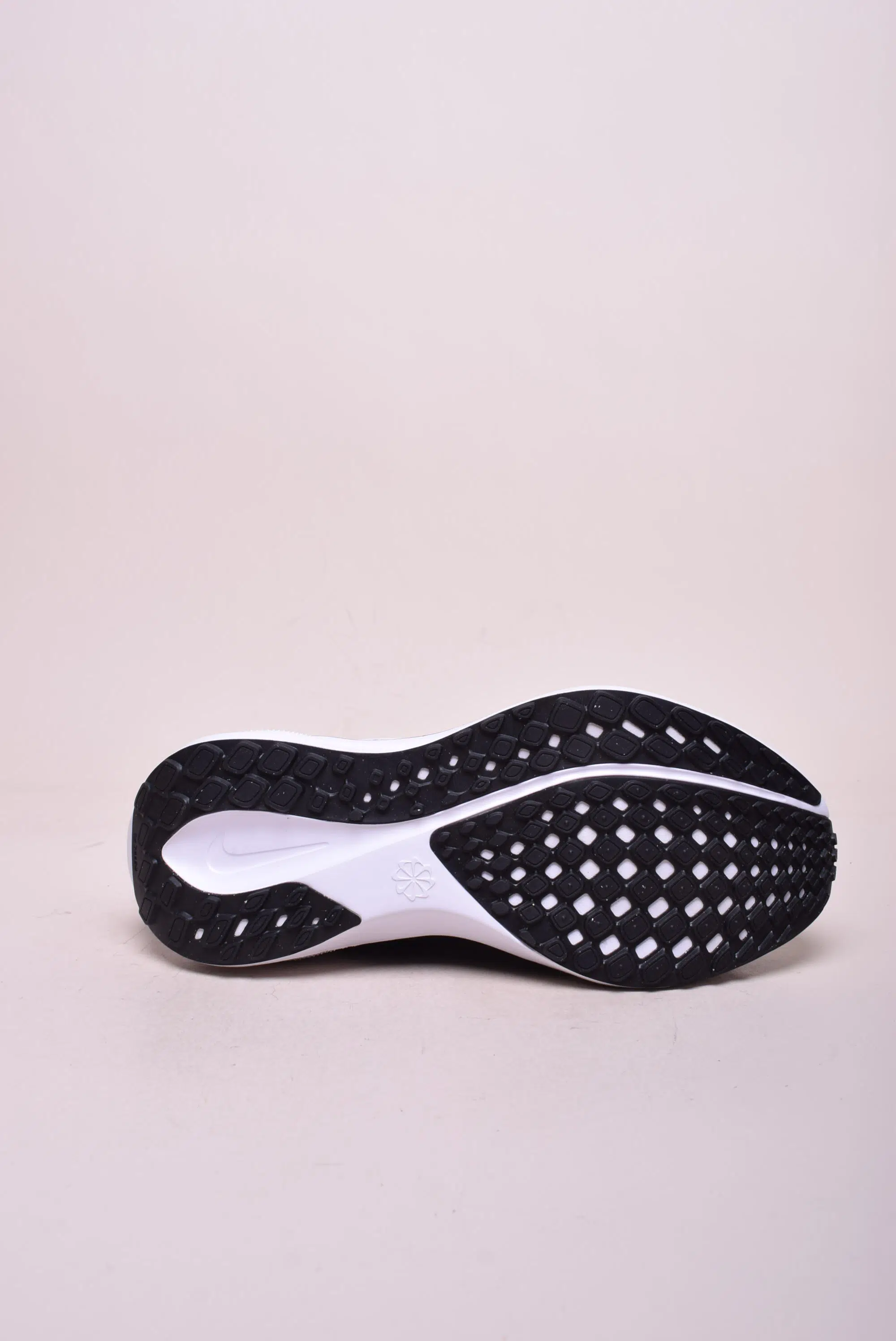 Pantofi sport dama Air Pegasus 41 [2]