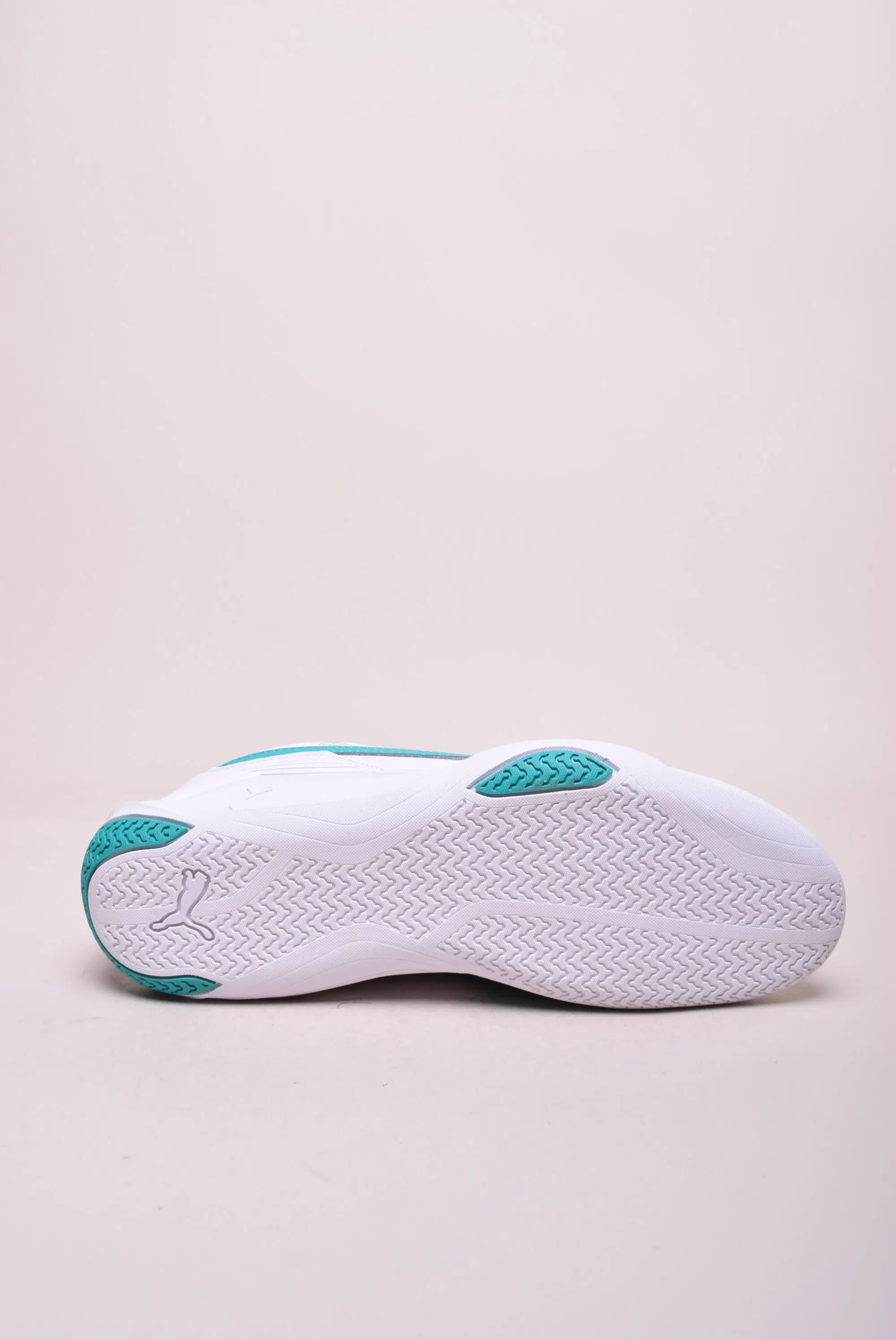 Pantofi sport dama Mapf1 R-Cat Machina AMG Petronas [2]