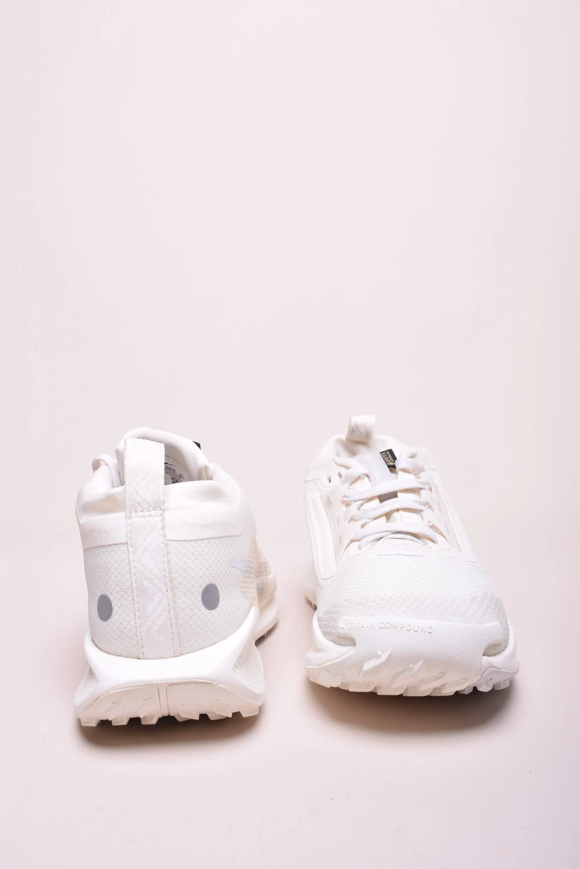 Pantofi sport dama Pegasus Trail 5 GTX [3]