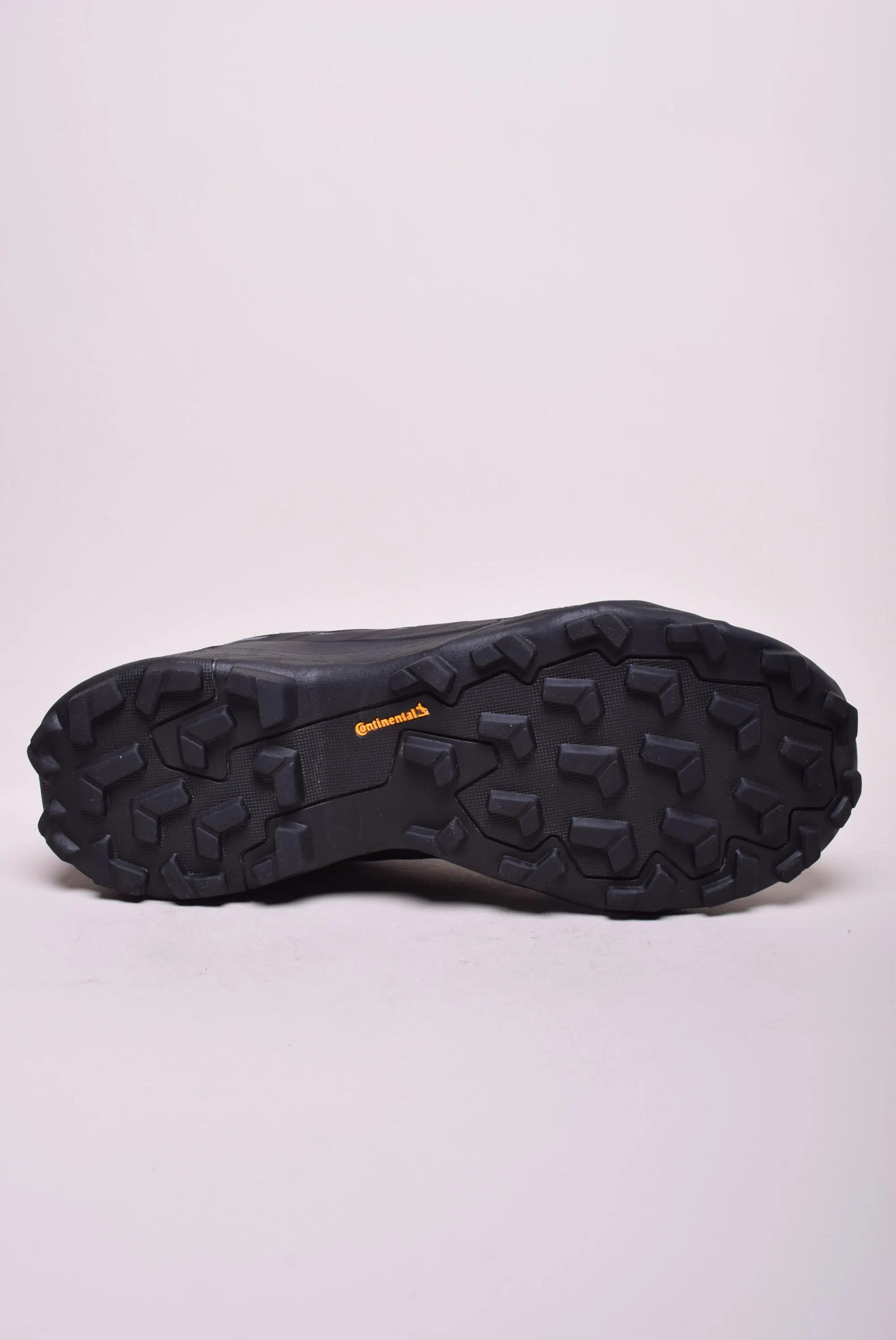 Pantofi trekking barbati Terrex Skychaser AX Gtx [2]