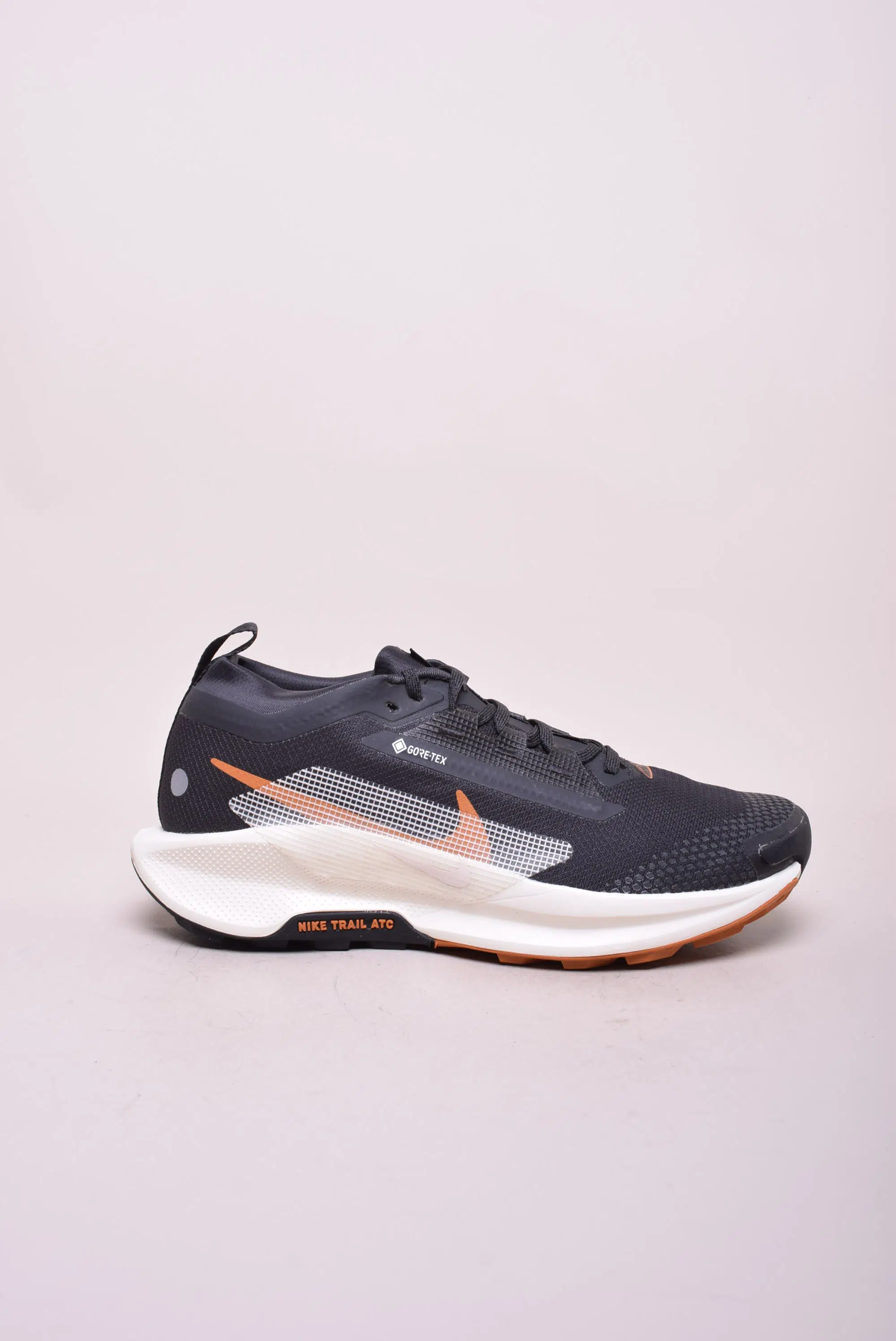 Sneakers barbati Pegasus Trail 5 GTX