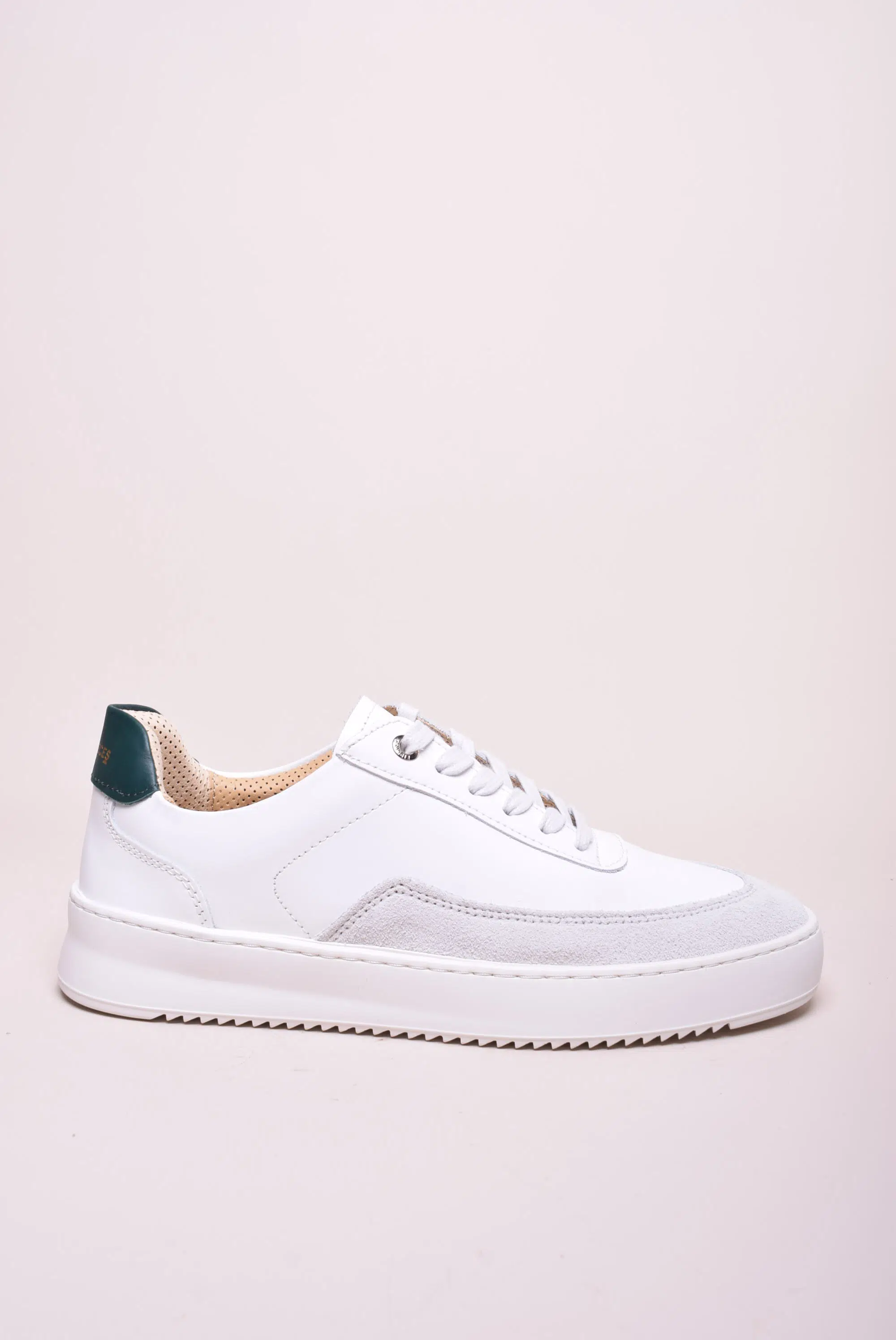 Sneakers dama