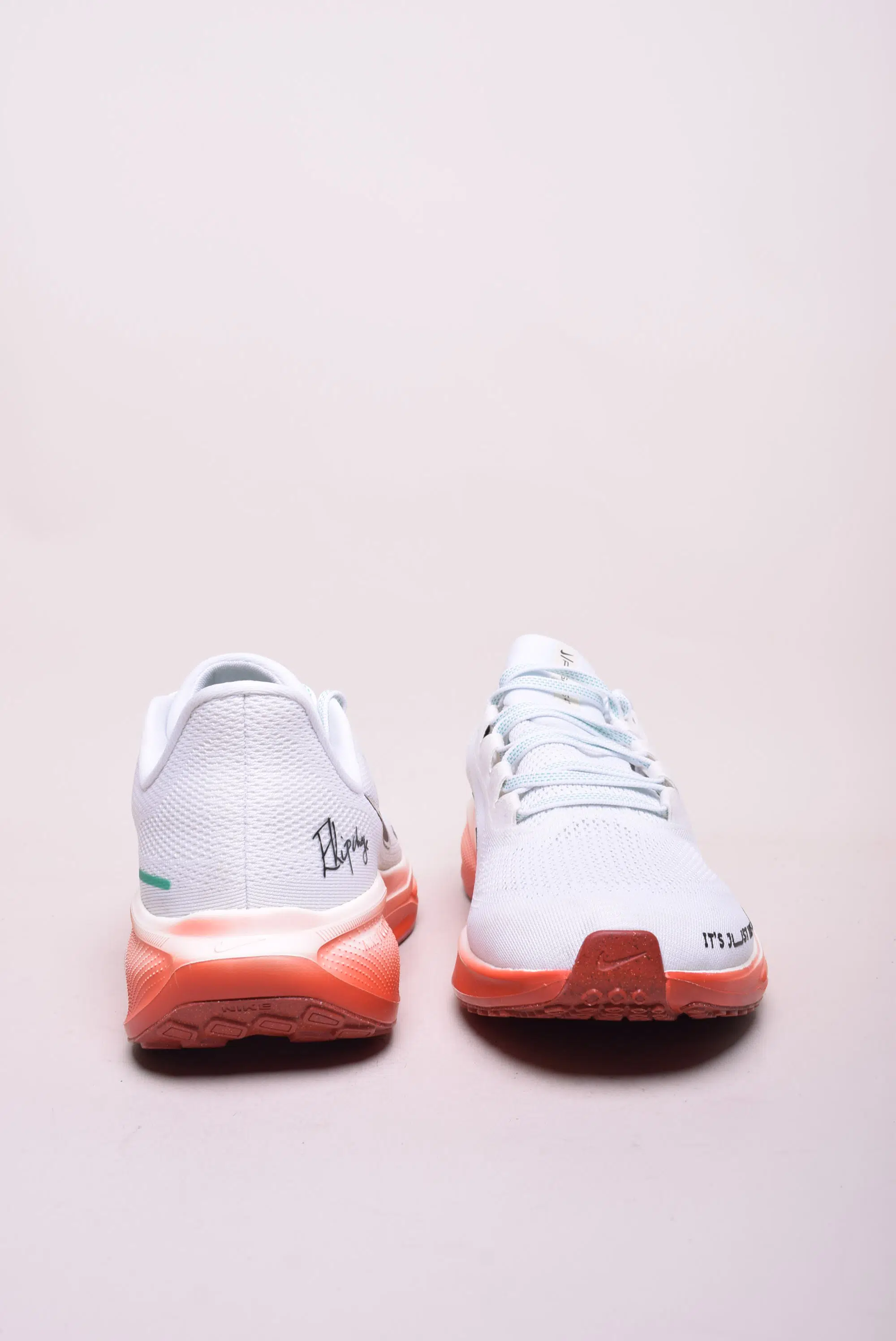 Pantofi sport barbati Air Zoom Pegasus 41 [2]