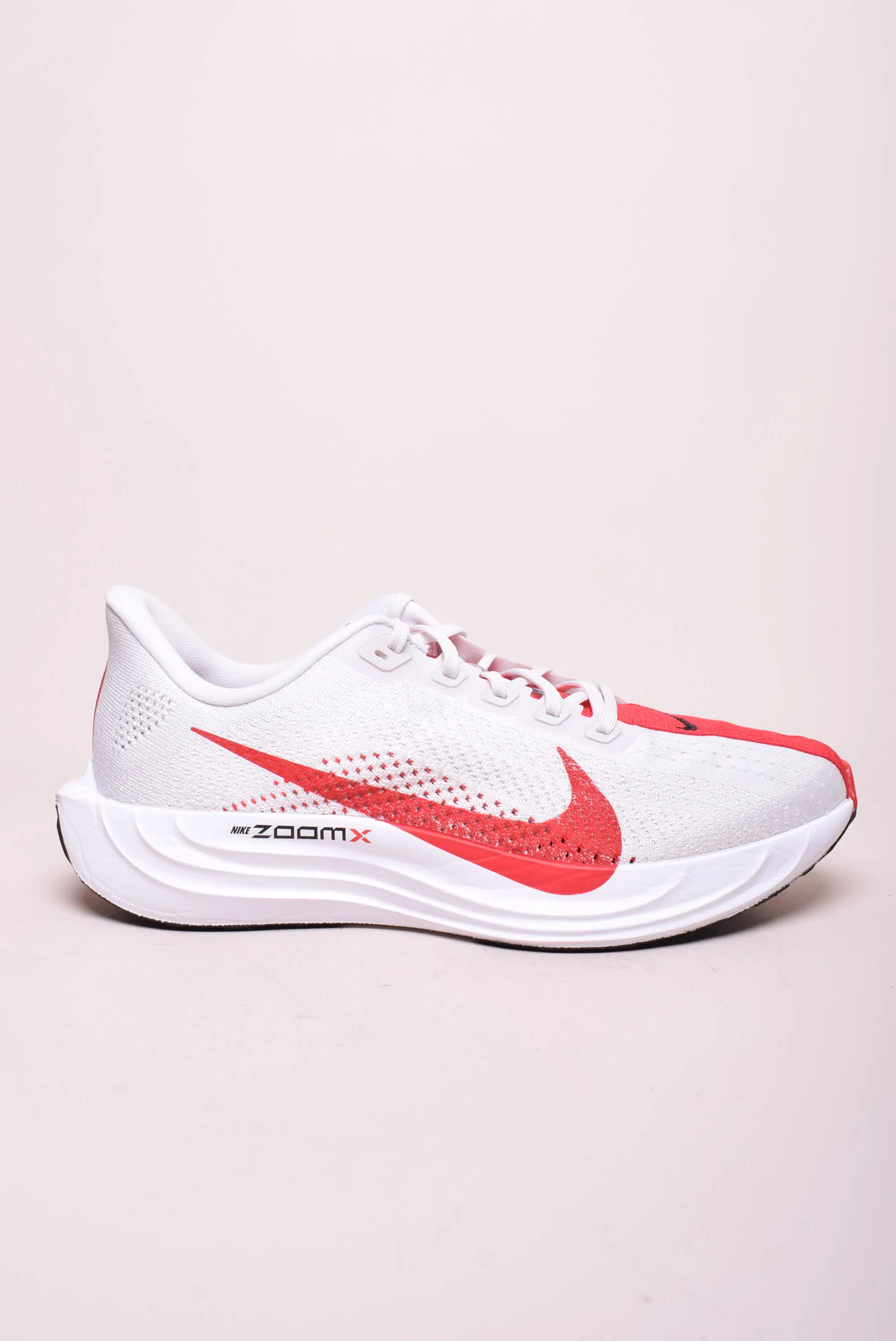 Pantofi sport barbati Pegasus Plus [0]