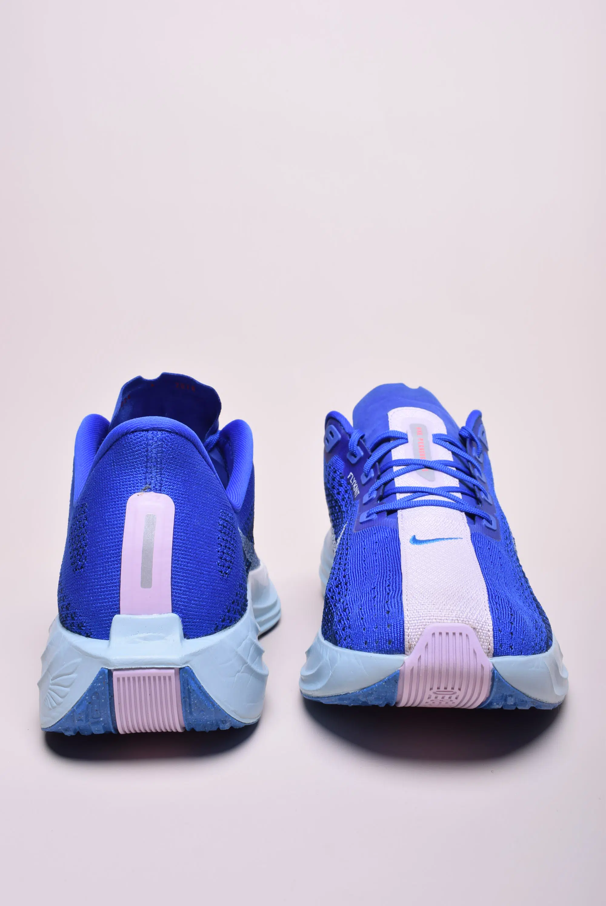 Pantofi sport barbati Pegasus Plus CM [2]