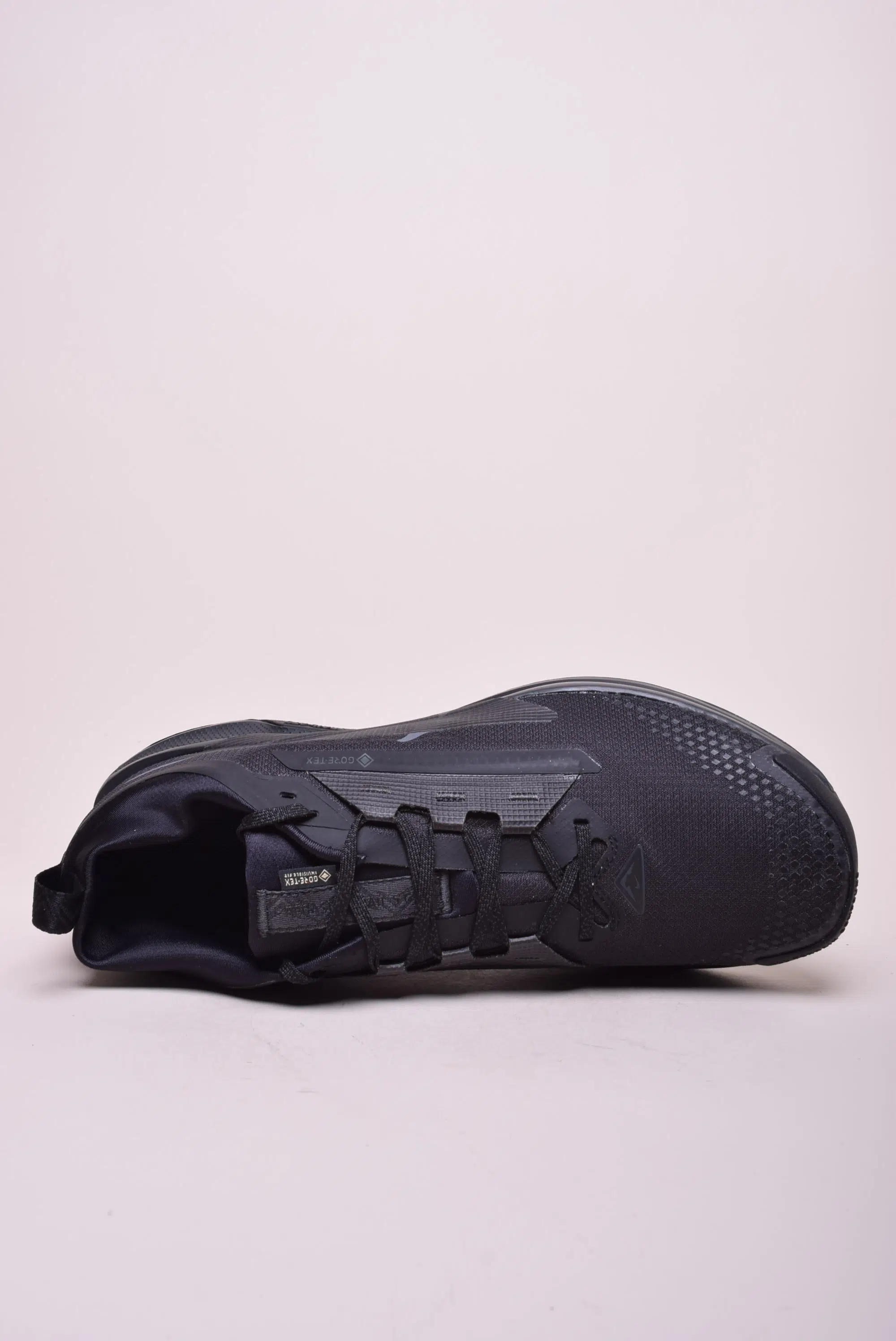 Pantofi sport barbati Pegasus Trail 5 GTX [3]