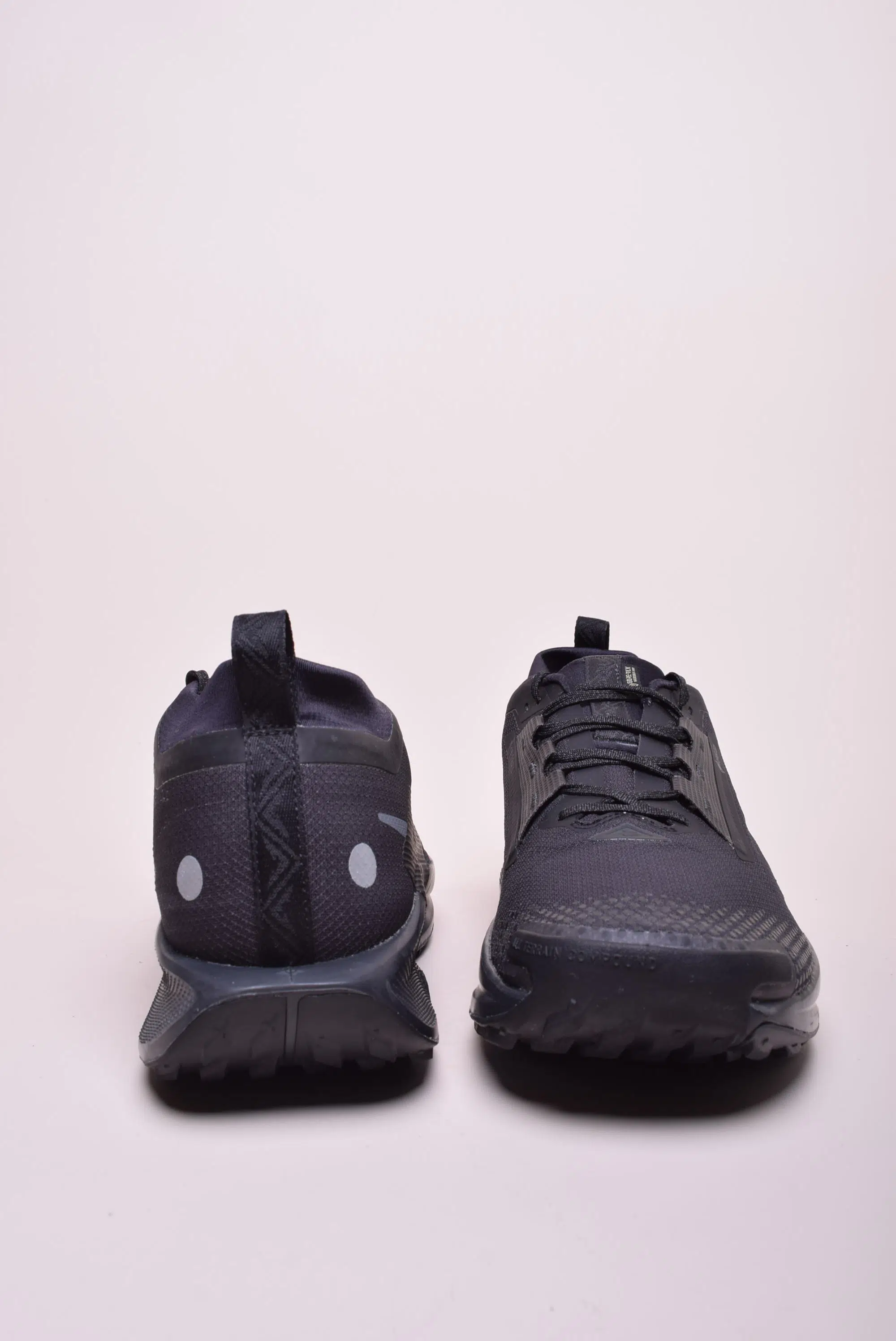 Pantofi sport barbati Pegasus Trail 5 GTX [2]