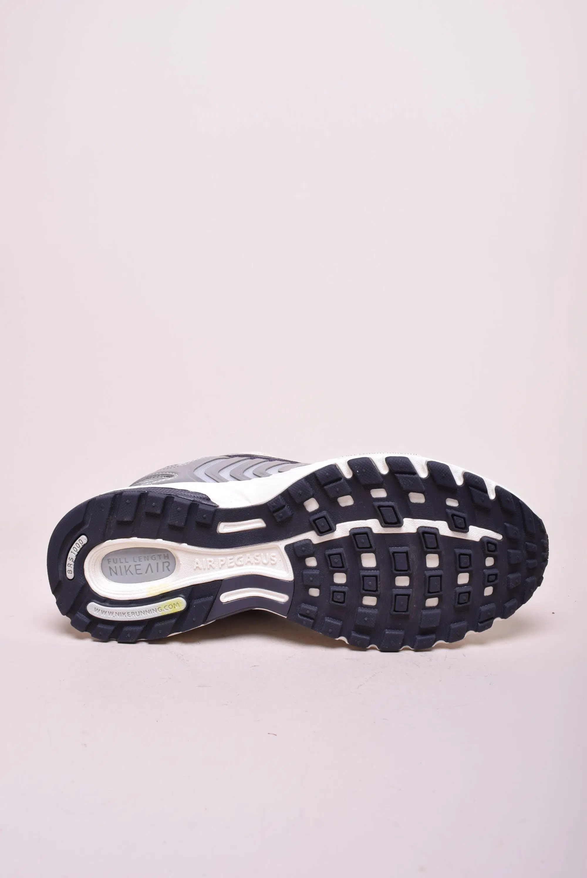 Pantofi sport dama Air Pegasus 2005 [1]