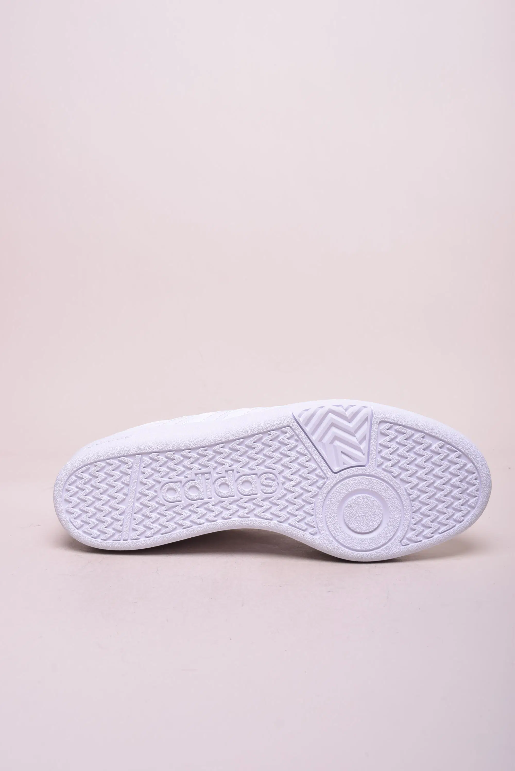 Pantofi sport dama Hoops 4.0 [1]