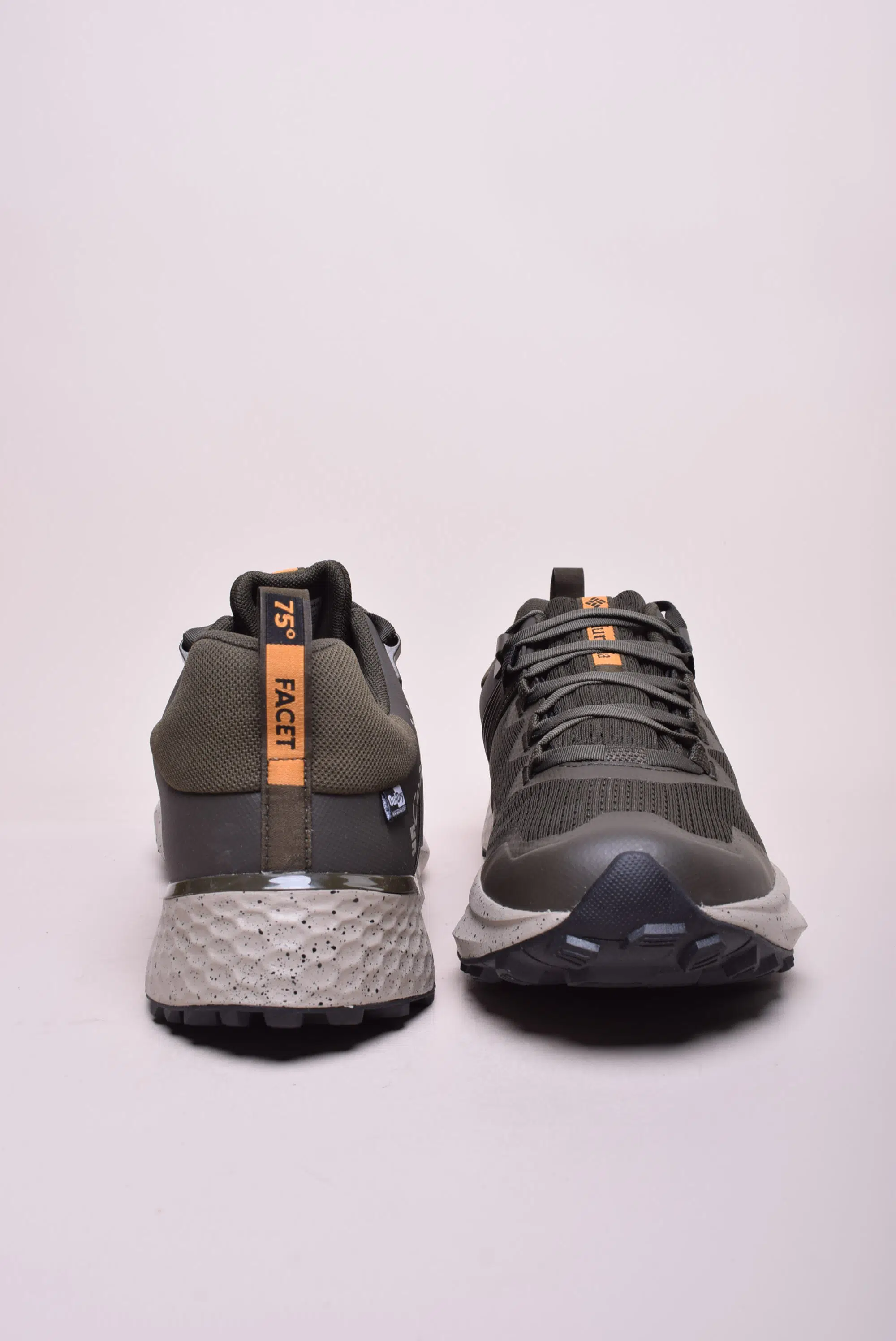 Pantofi trekking barbati Facet 75 Outdry [2]