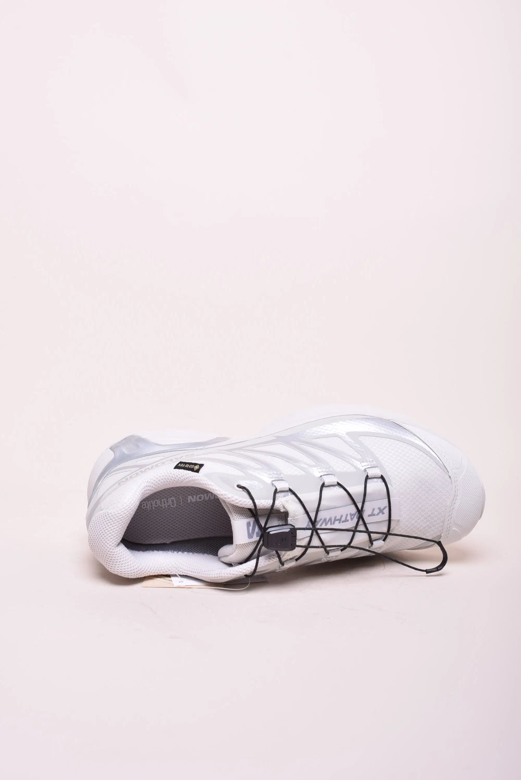 Pantofi trekking dama XT-Pathway GTX [3]