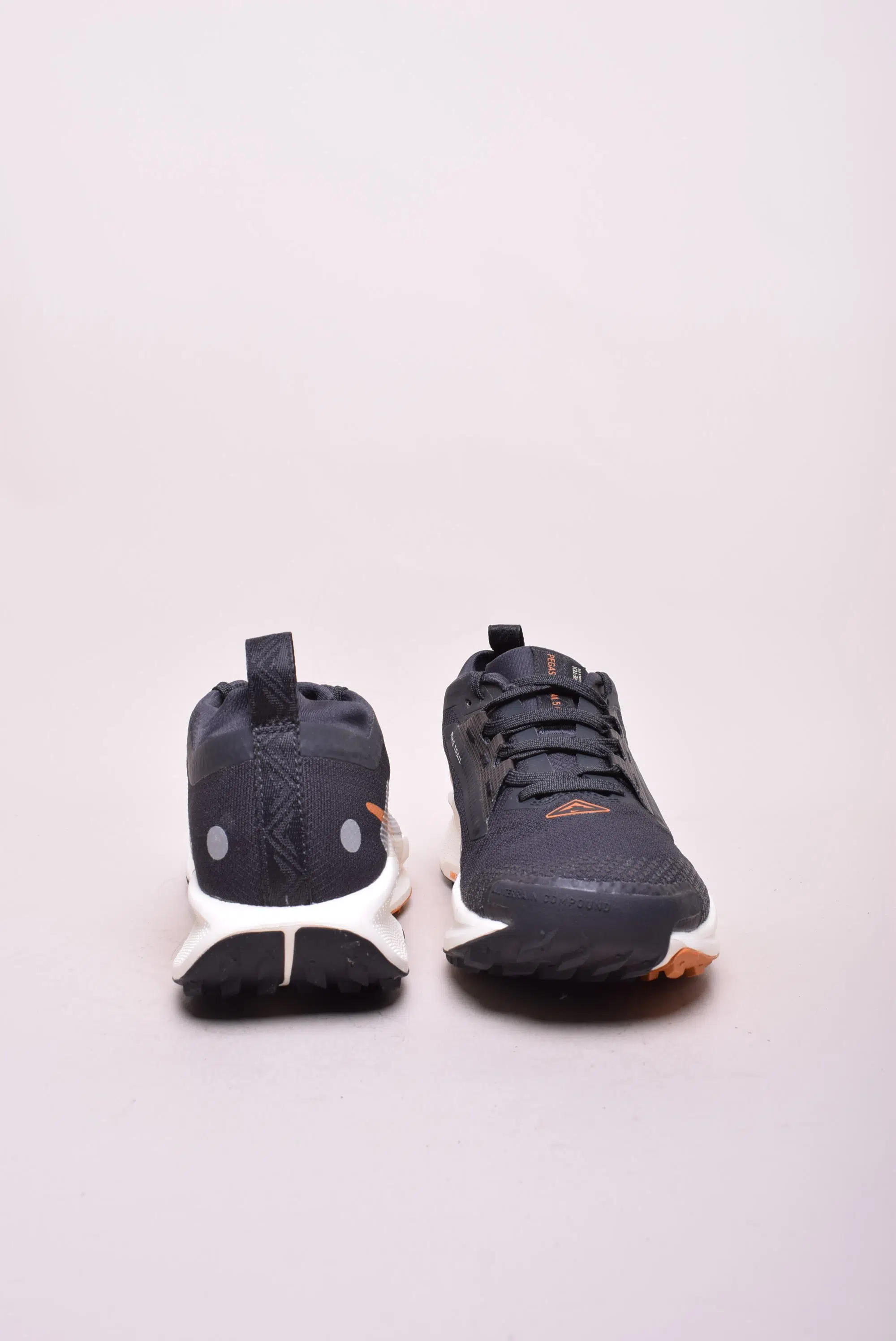 Sneakers dama Pegasus Trail 5 GTX [2]