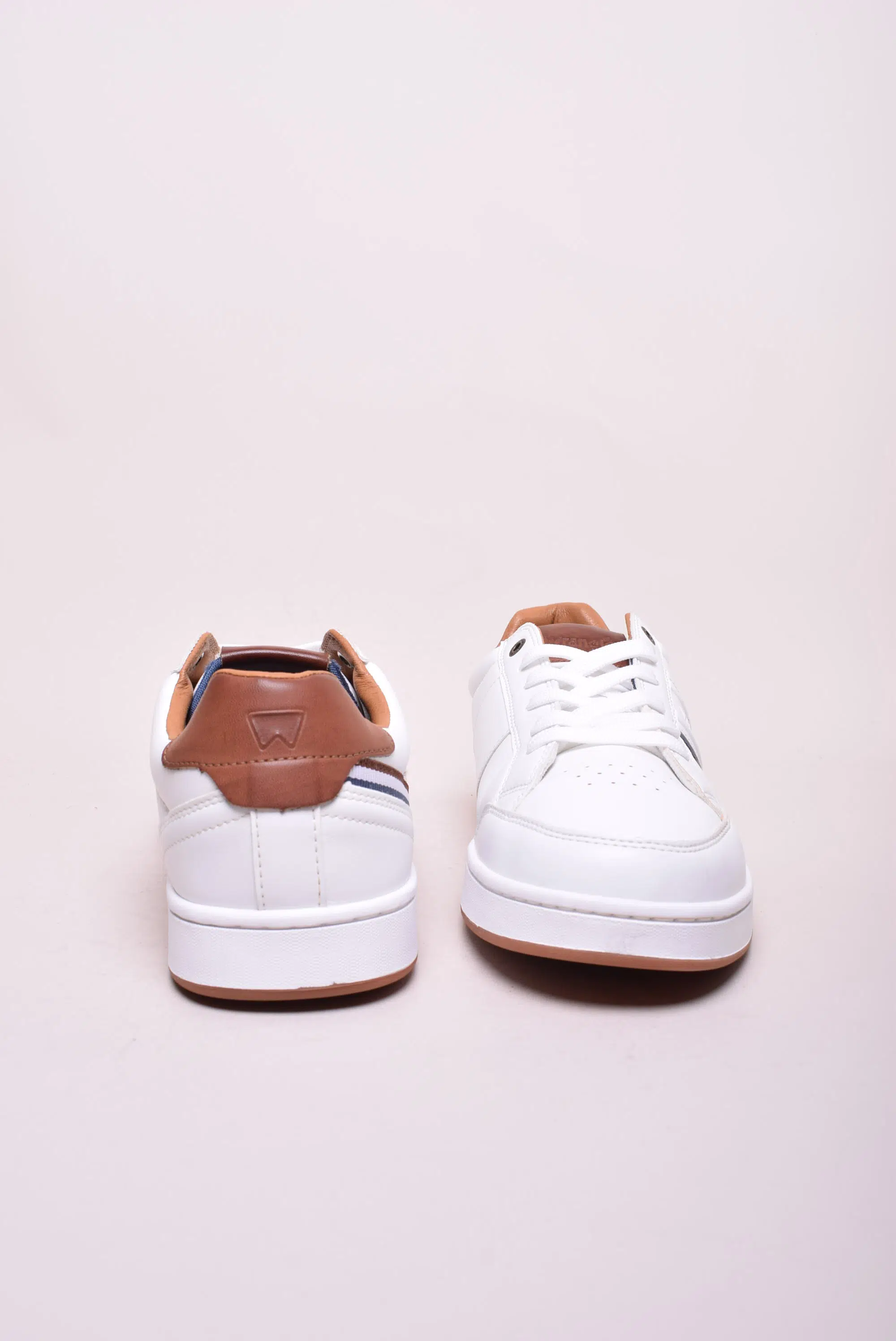 Tenisi barbati Rowley [2]