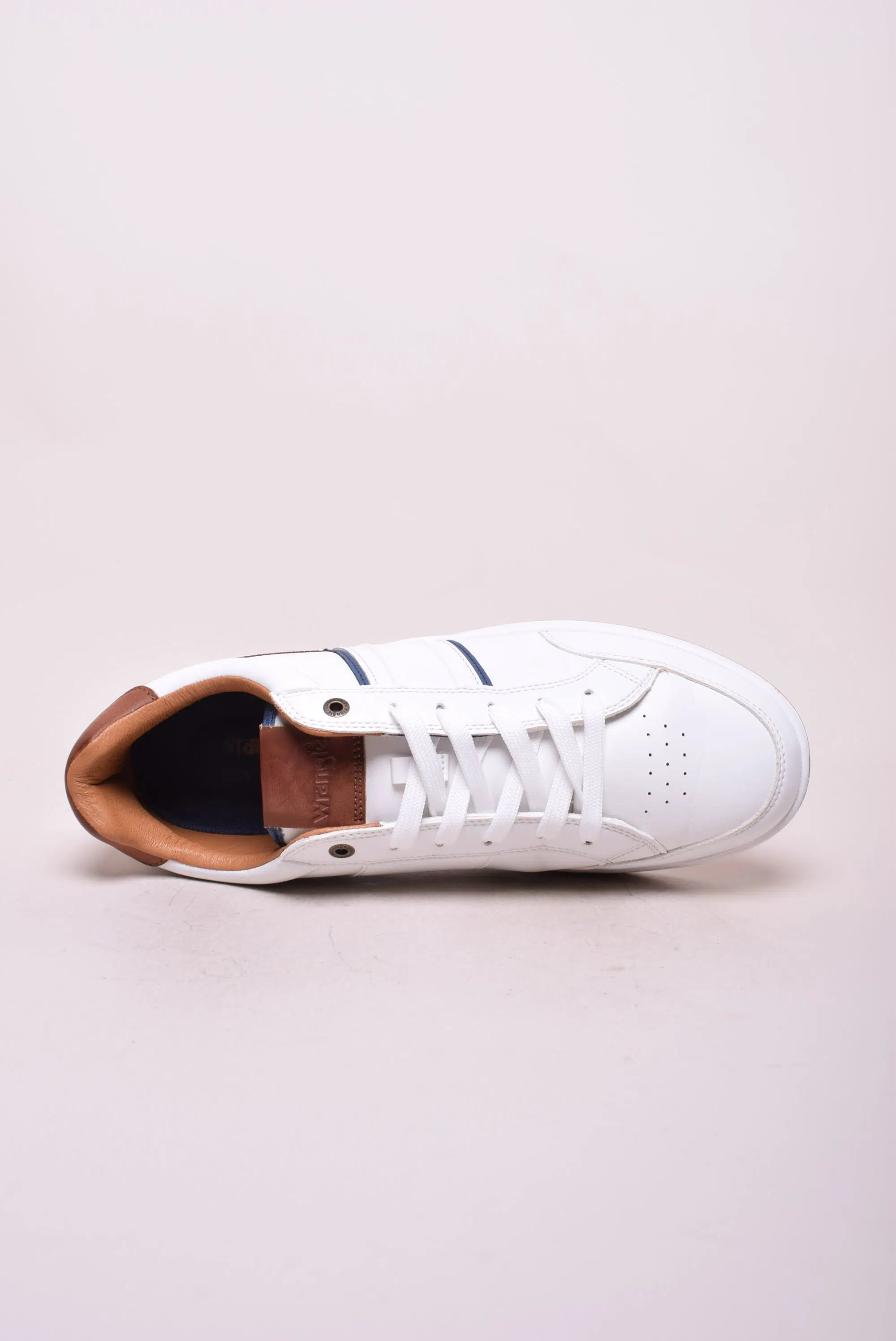 Tenisi barbati Rowley [3]