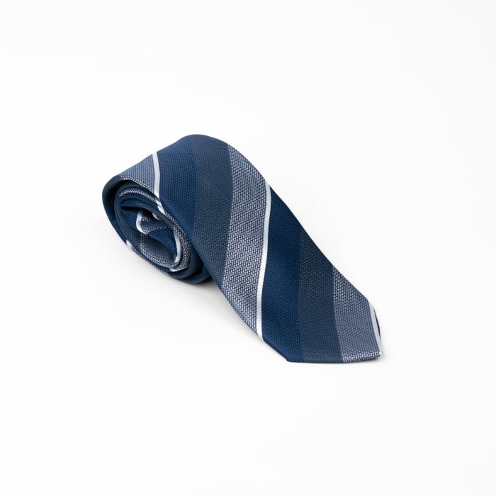 Cravata matase model in dungi [1]