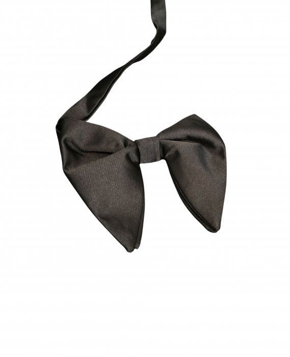Papion negru fluture [2]