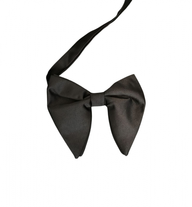 Papion negru fluture [1]