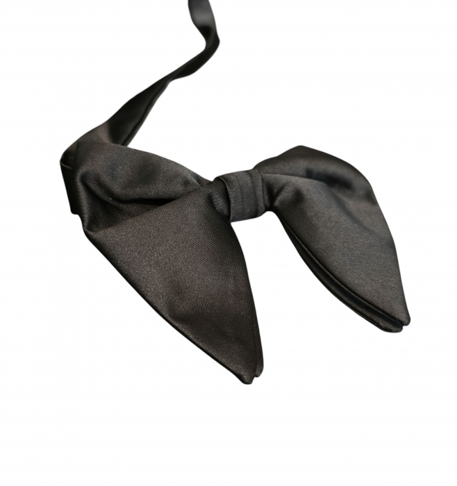 Papion negru fluture [3]