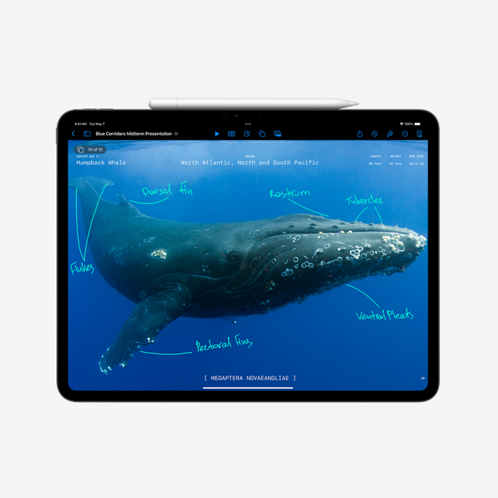 Apple 13-inch iPad Pro (M4) WiFi 2TB with Nano-texture Glass - Space Black [5]