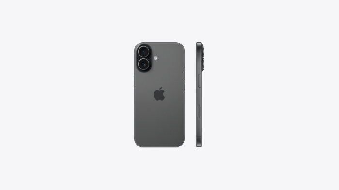 Apple iPhone 17 256GB Black [2]