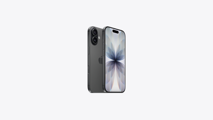 Apple iPhone 17 256GB Black [4]