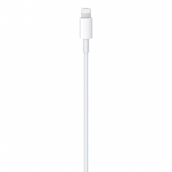 Apple USB-C to Lightning Cable (1 m) [3]