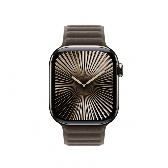 Apple Watch 42mm Modern Buckle:  Dark Taupe Modern Buckle - Large [2]