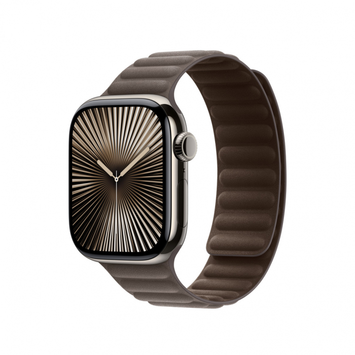 Apple Watch 42mm Modern Buckle:  Dark Taupe Modern Buckle - Small [3]
