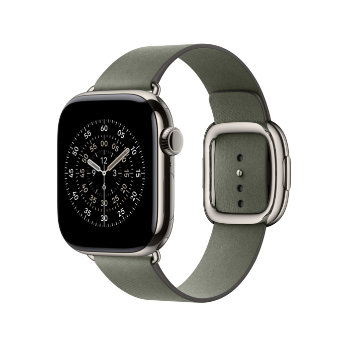 Apple Watch 42mm Modern Buckle: Sage Gray Modern Buckle - Large [3]