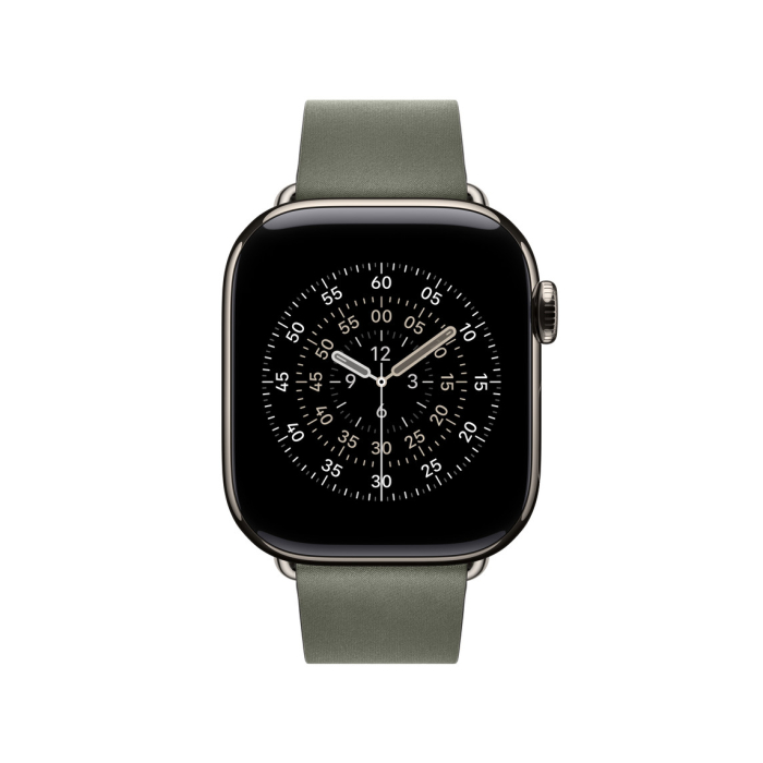 Apple Watch 42mm Modern Buckle: Sage Gray Modern Buckle - Large [2]