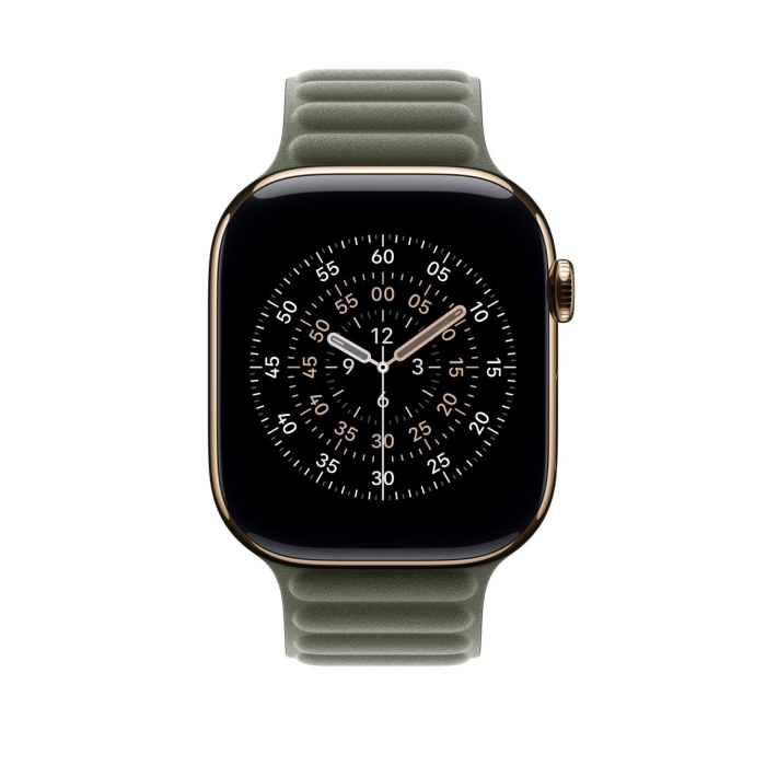 Apple Watch 46mm Magnetic Link: Sage Gray Magnetic Link - S/M [2]
