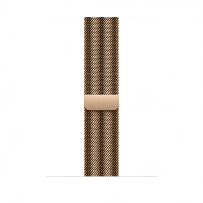 Apple Watch S10 Cellular 42mm Gold Titanium Case with Gold Milanese Loop [2]