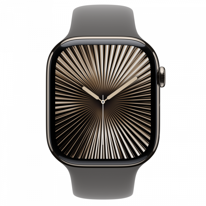 Apple Watch S10 Cellular 46mm Natural Titanium Case with Stone Grey Sport Band - S/M [2]